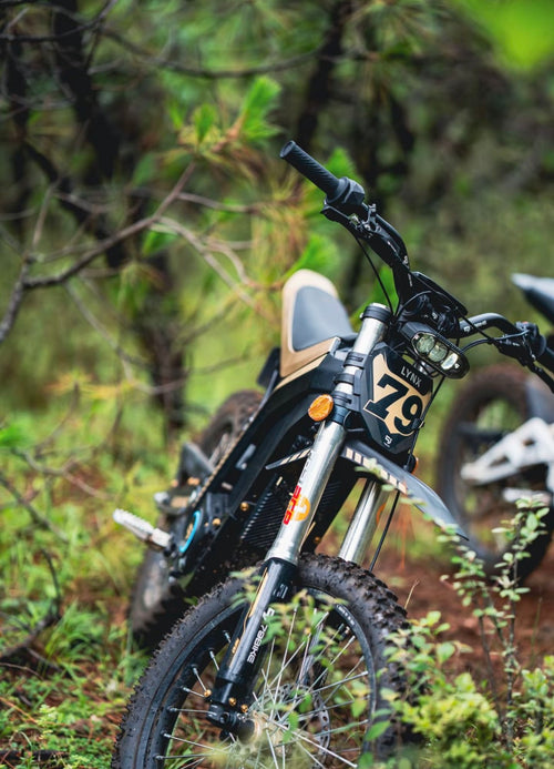 79BIKE Lynx electric dirt bike on a forest trail