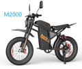 Bopzin M2000 electric bike