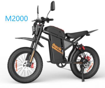 Bopzin M2000 electric bike