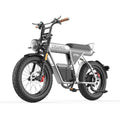 COSWHEEL CT20S silver fat-tire electric bike white background