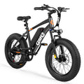 Qlife Racer Fat Tire black supplier original